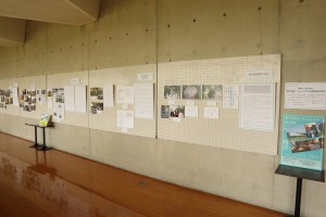 IMG_9064